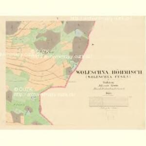 Woleschna Böhmisch (Woleschna Česka) - m0390-1-004 - Kaiserpflichtexemplar der Landkarten des stabilen Katasters