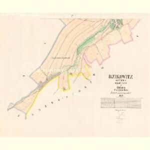 Rzikowitz - c6720-1-003 - Kaiserpflichtexemplar der Landkarten des stabilen Katasters
