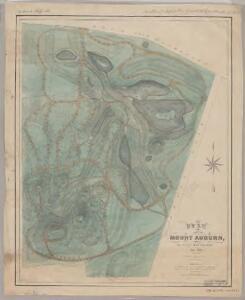 Plan of Mount Auburn