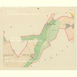 Taus (Domazlice) - c1433-1-007 - Kaiserpflichtexemplar der Landkarten des stabilen Katasters