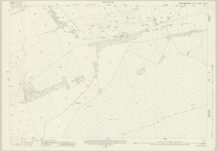Northumberland (New Series) XCIX.7 (includes: Allendale Common; Allendale; Haydon; Newbrough) - 25 Inch Map