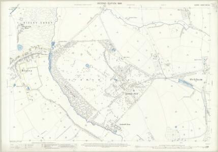 Surrey XVII.15 (includes: Ockham; Ripley) - 25 Inch Map
