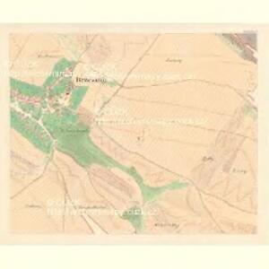 Brzeznik - m0261-1-005 - Kaiserpflichtexemplar der Landkarten des stabilen Katasters