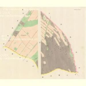 Schönwiese - m1346-1-002 - Kaiserpflichtexemplar der Landkarten des stabilen Katasters