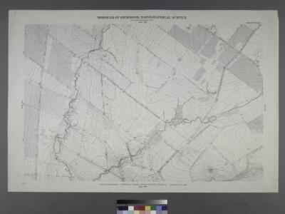 Sheet No. 53. [Includes Richmond Hill Road, Forest Hill Road, Old Stone Road and Mill Road.]; Borough of Richmond, Topographical Survey.