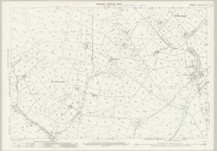 Cornwall XXI.10 (includes: Altarnun; Blisland; St Neot) - 25 Inch Map