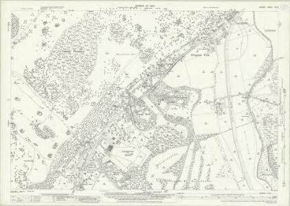 Surrey VII.9 (includes: Coombe; Ham) - 25 Inch Map