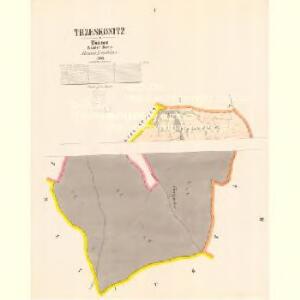 Trzeskonitz - c8069-1-001 - Kaiserpflichtexemplar der Landkarten des stabilen Katasters
