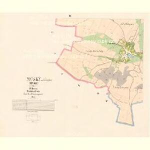 Musky - c4911-1-002 - Kaiserpflichtexemplar der Landkarten des stabilen Katasters
