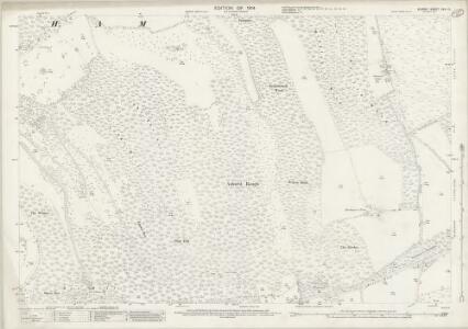 Surrey XXV.12 (includes: Mickleham; Milton) - 25 Inch Map