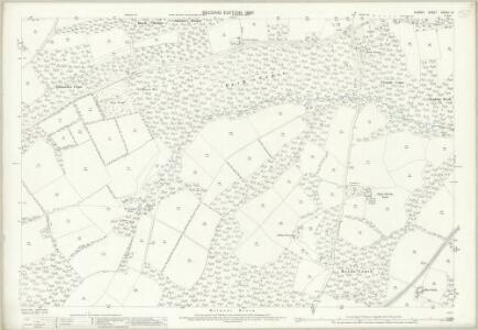 Surrey XXXVIII.13 (includes: Thursley; Witley) - 25 Inch Map