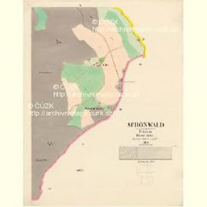 Schönwald - c3869-2-008 - Kaiserpflichtexemplar der Landkarten des stabilen Katasters