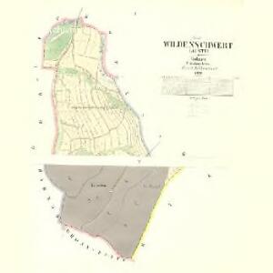 Wilderschwert (Austy) - c8273-1-001 - Kaiserpflichtexemplar der Landkarten des stabilen Katasters