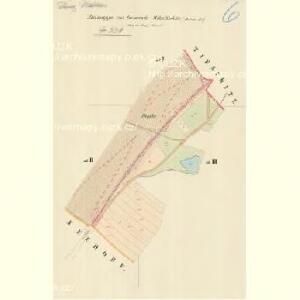 Mikulschitz (Mikulčzice) - m1784-1-006 - Kaiserpflichtexemplar der Landkarten des stabilen Katasters