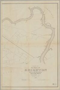 Plan of the town of Brighton : made by order of the selectmen from actual surveys : Eastern sheet
