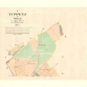 Tuppetz - m3171-1-001 - Kaiserpflichtexemplar der Landkarten des stabilen Katasters