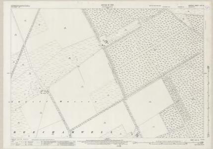 Norfolk LVIII.12 (includes: Beachamwell; Swaffham) - 25 Inch Map