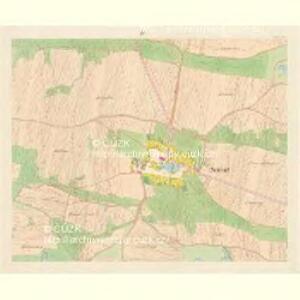 Neudorf - c7999-1-003 - Kaiserpflichtexemplar der Landkarten des stabilen Katasters