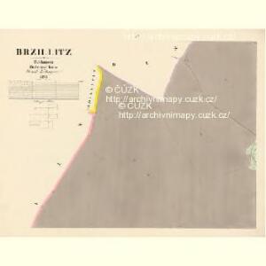 Brzillitz - c0612-1-004 - Kaiserpflichtexemplar der Landkarten des stabilen Katasters