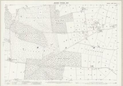 Norfolk XXXIX.5 (includes: Cawston; Hevingham; Marsham) - 25 Inch Map