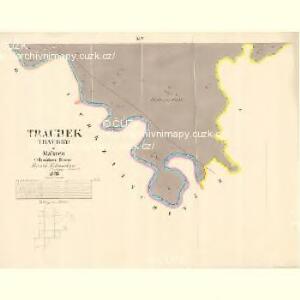 Traubek (Traubky) - m3138-1-013 - Kaiserpflichtexemplar der Landkarten des stabilen Katasters