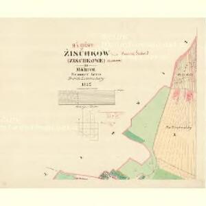 Zischkow (Zischkowe) - m1882-1-001 - Kaiserpflichtexemplar der Landkarten des stabilen Katasters