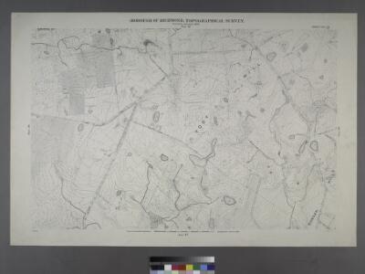 Sheet No. 39.[Includes Ocean Terrace, Manor Road, Egbert Avenue, Walkers lane Todt Hill Road in Todt Hill and Dongan Hills.]; Borough of Richmond, Topographical Survey.