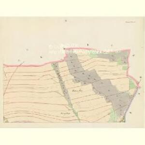 Blumenau (Kwietna) - c3748-1-004 - Kaiserpflichtexemplar der Landkarten des stabilen Katasters