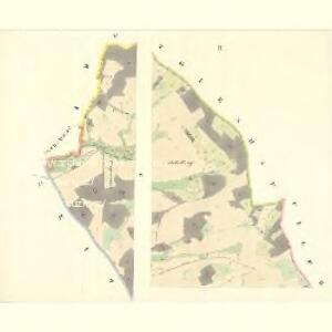 Reigersdorf (Reghartice) - m2577-1-002 - Kaiserpflichtexemplar der Landkarten des stabilen Katasters