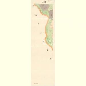 Todtnie - c7937-1-006 - Kaiserpflichtexemplar der Landkarten des stabilen Katasters