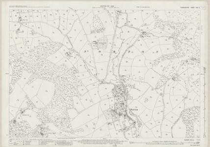 Radnorshire XVIII.11 (includes: Norton) - 25 Inch Map