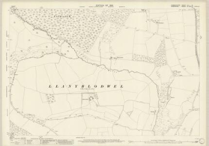 Denbighshire XLII.8 (includes: Glyntraean; Llansilin; Oswestry Rural; Selattyn) - 25 Inch Map
