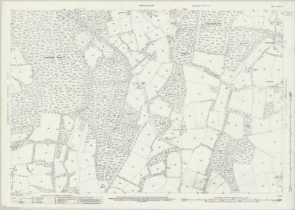 Surrey XL.13 (includes: Abinger; Ewhurst) - 25 Inch Map