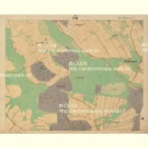 Böhm. Gillowitz - c2059-2-007 - Kaiserpflichtexemplar der Landkarten des stabilen Katasters