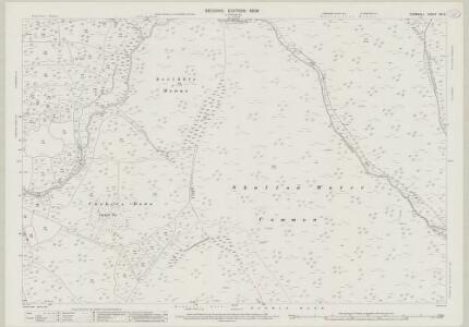 Cornwall XXI.9 (includes: Altarnun; Blisland; St Breward) - 25 Inch Map