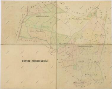 Mapy lesních porostů svěřeneckého panství Kout - revír Filipova Hora