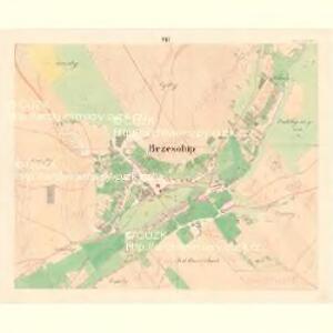 Brzesolup - m0262-1-006 - Kaiserpflichtexemplar der Landkarten des stabilen Katasters