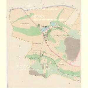 Sobietitz (Sobětic) - c7124-1-001 - Kaiserpflichtexemplar der Landkarten des stabilen Katasters