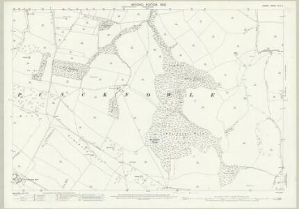 Dorset XLVI.5 (includes: Abbotsbury; Long Bredy; Puncknowle) - 25 Inch Map