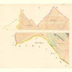 Nesslowitz (Neslowice) - m1963-1-001 - Kaiserpflichtexemplar der Landkarten des stabilen Katasters