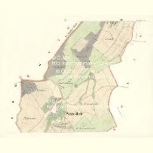 Patzedluk - m2210-1-002 - Kaiserpflichtexemplar der Landkarten des stabilen Katasters