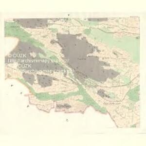 Wellenow - c8360-1-004 - Kaiserpflichtexemplar der Landkarten des stabilen Katasters