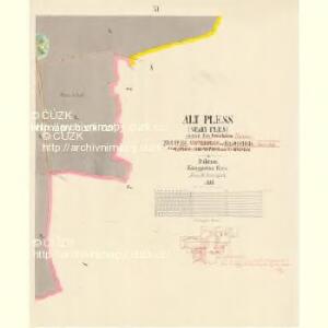 Alt Pless (Stary Ples) - c7306-1-011 - Kaiserpflichtexemplar der Landkarten des stabilen Katasters