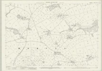 Cornwall XLIV.7 (includes: Liskeard; Morval) - 25 Inch Map
