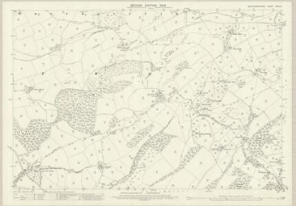 Montgomeryshire XXXVI.8 (includes: Betws Cedewain; Llanllwchaearn; Llanmerewig) - 25 Inch Map