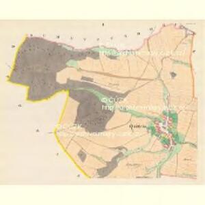 Quittein (Kwietin) - m1452-1-001 - Kaiserpflichtexemplar der Landkarten des stabilen Katasters