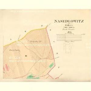 Nasedlowitz - m1931-1-002 - Kaiserpflichtexemplar der Landkarten des stabilen Katasters