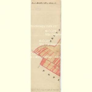 Edelspitz - m2705-1-007 - Kaiserpflichtexemplar der Landkarten des stabilen Katasters