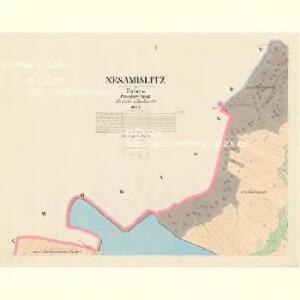 Nesamislitz - c5102-1-001 - Kaiserpflichtexemplar der Landkarten des stabilen Katasters