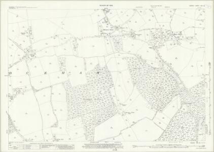 Surrey XVII.16 (includes: Cobham; Ockham) - 25 Inch Map